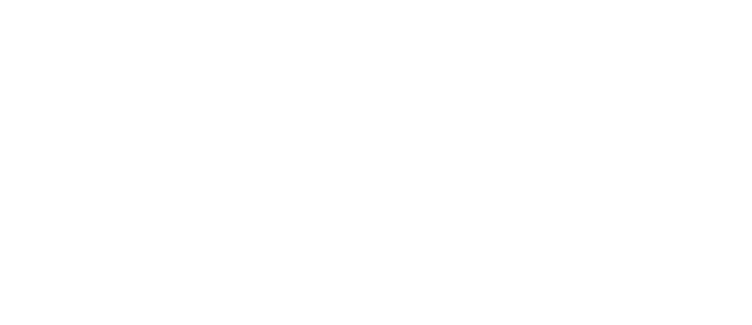 LOGO METALFAZ